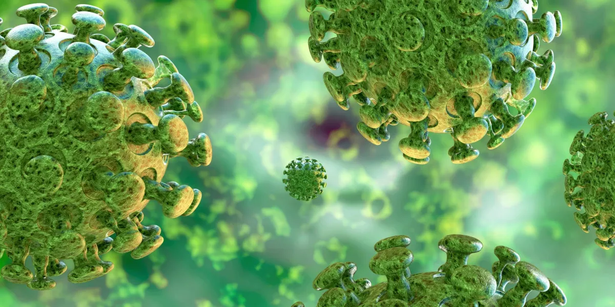 coronavirus - rendu 3d