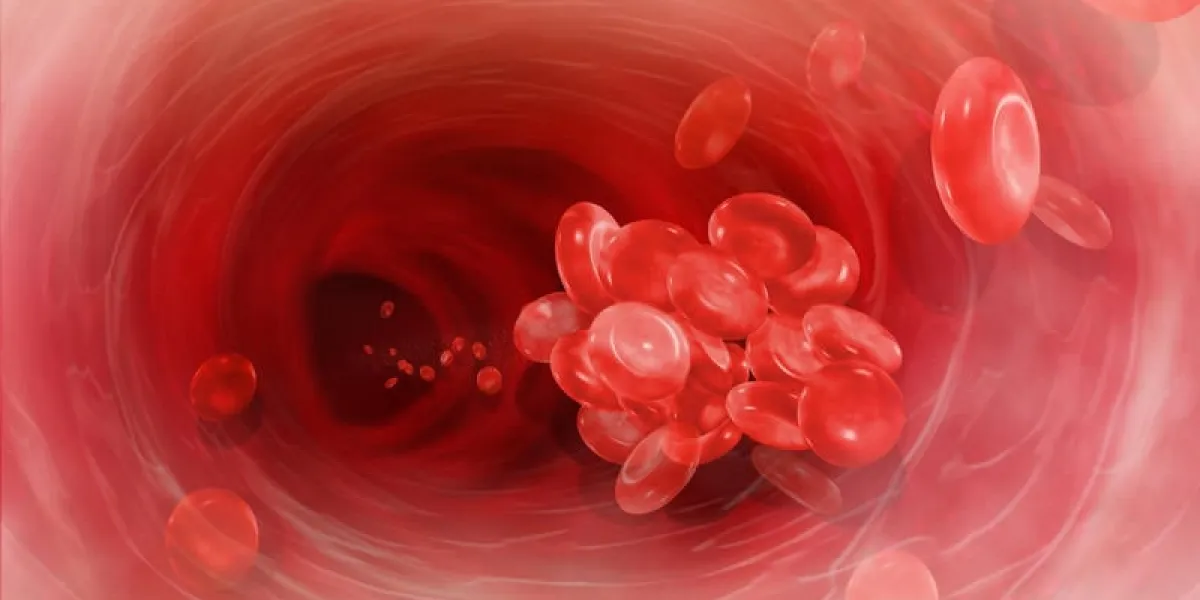 caillot de sang, veine, artère, tunnel, globules rouges, corps interne, cellule sanguine, coeur