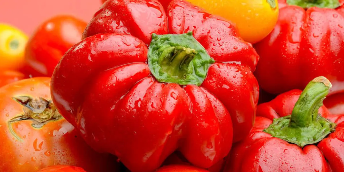 un mélange de diverses tomates fraîches et poivrons du potager