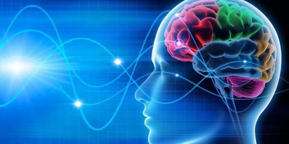 vibrations cérébrales