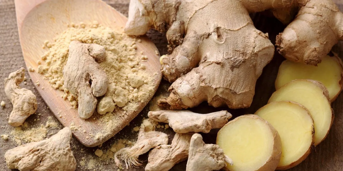 gingembre frais, séché et en poudre