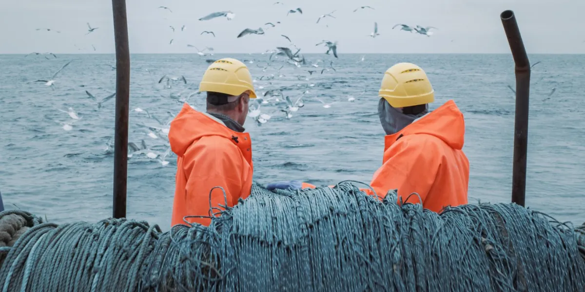 crew of fishermen work on commercial fishing ship that pulls trawl net