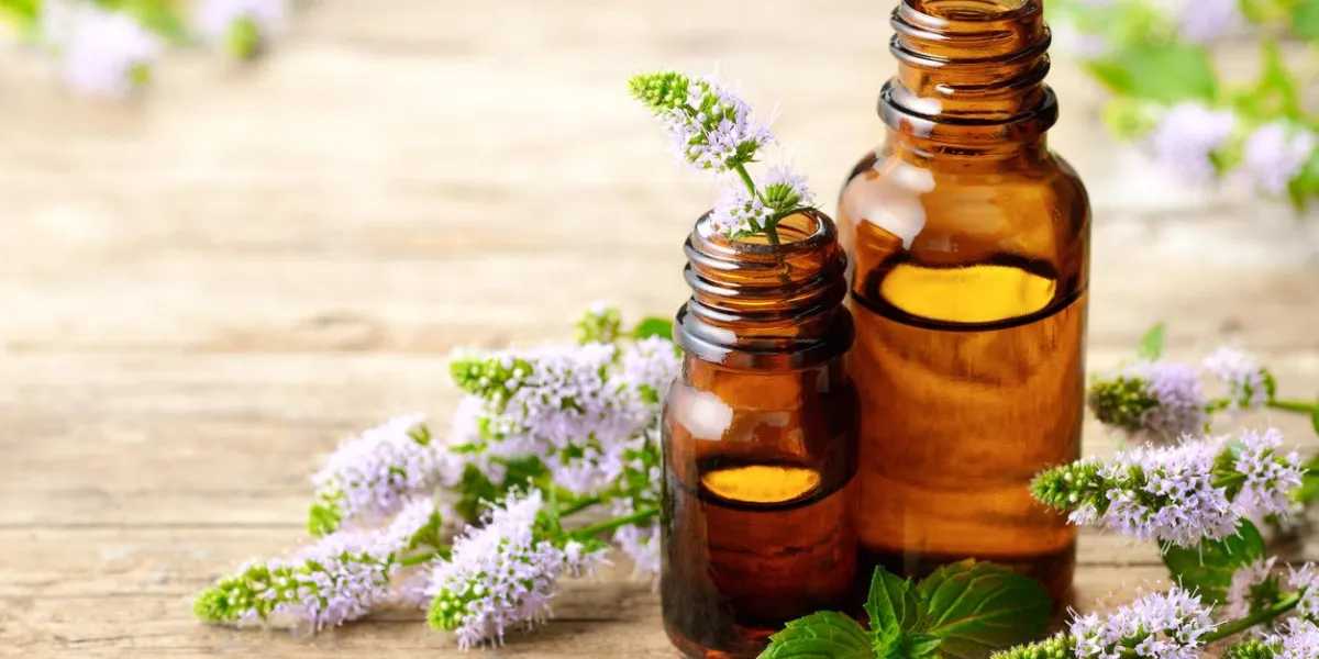fresh purple peppermint flowers and peppermint essential oil on the wooden table