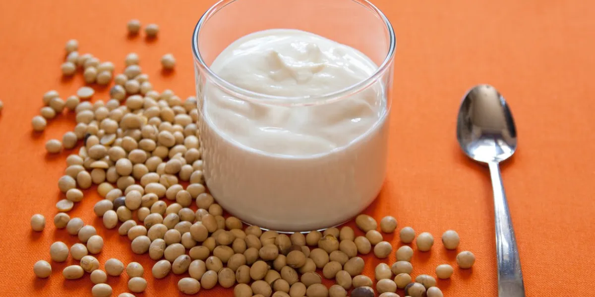 close-up view of organic soy yogurt