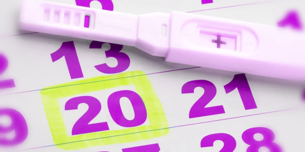 test de grossesse positif sur la page du calendrier