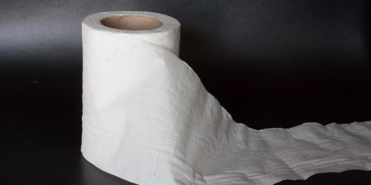 rouleau de papier toilette blanc