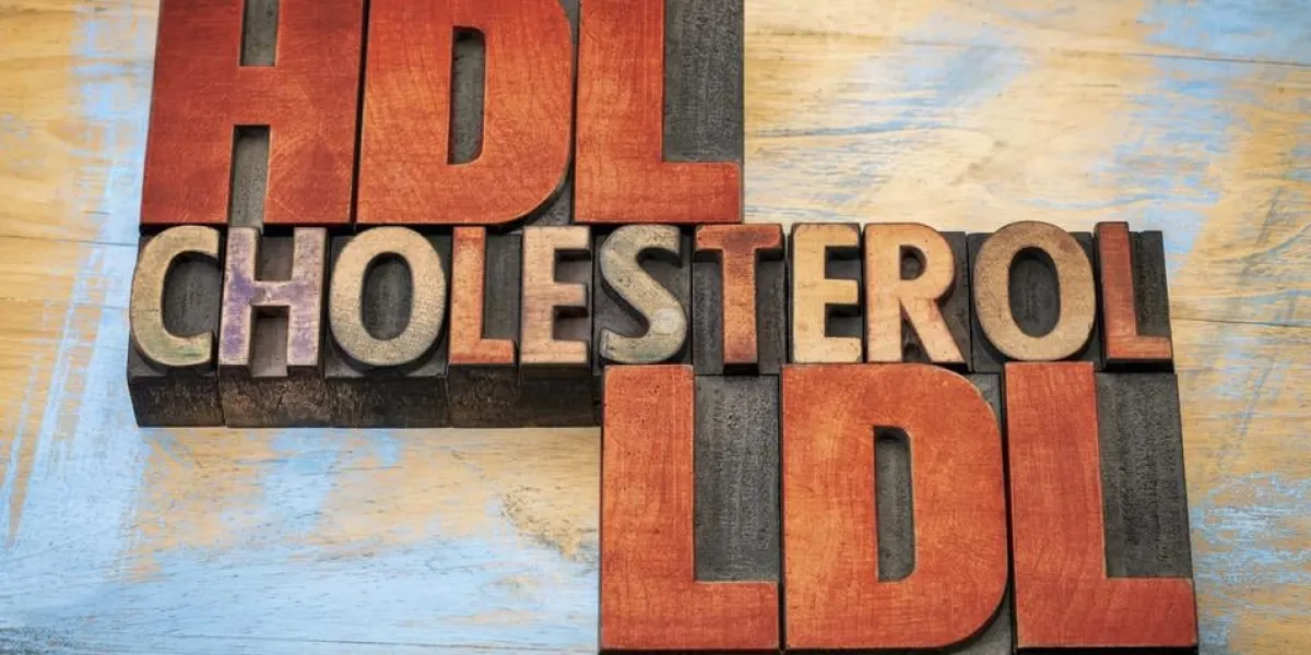 hdl et ldl cholestérol mot abstrait en blocs de type bois typographie vintage