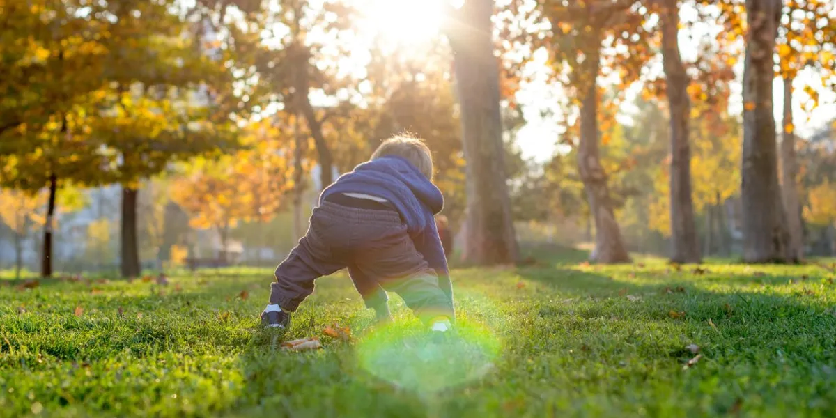 2 year old boy stands up in the park after falling
