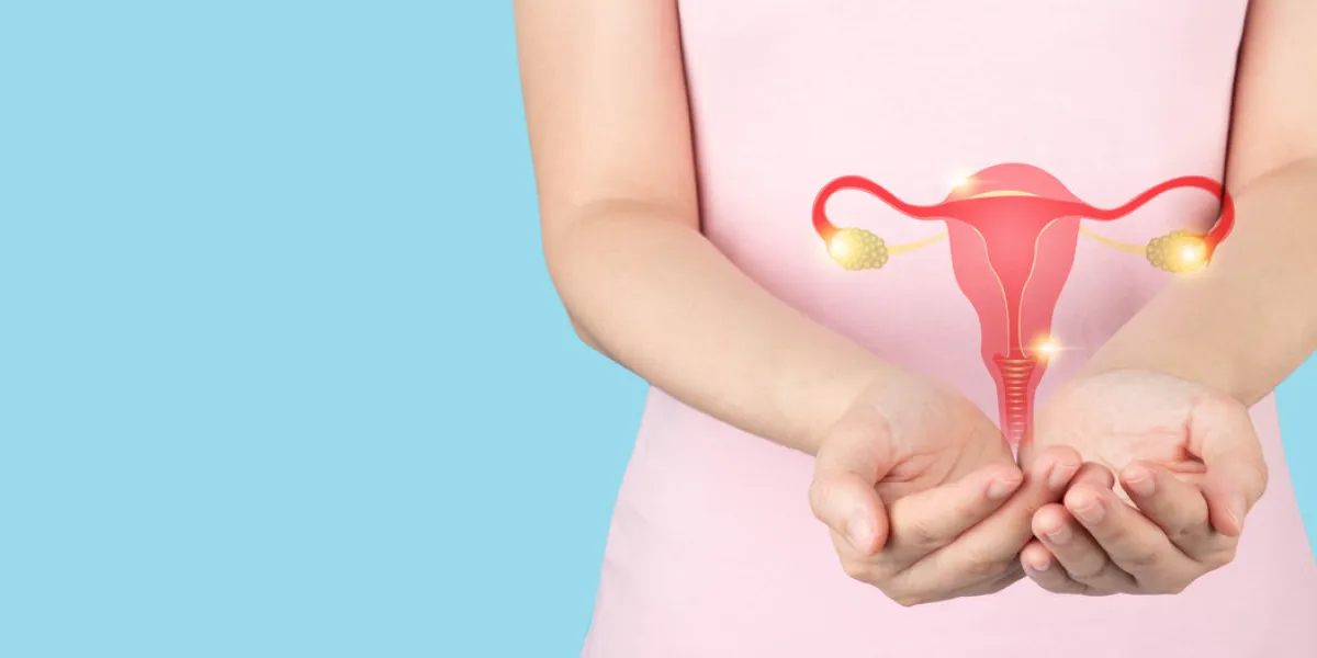 healthy uterus and ovaries anatomy on female hands awareness of women health care such as endometriosis disease, pcos, stds, ovarian or cervical cancer screening gynecology and reproductive system