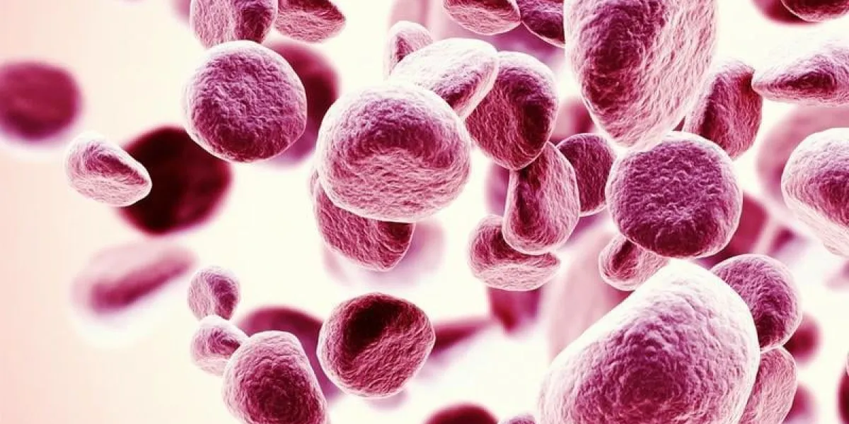 illustration 3d de globules rouges