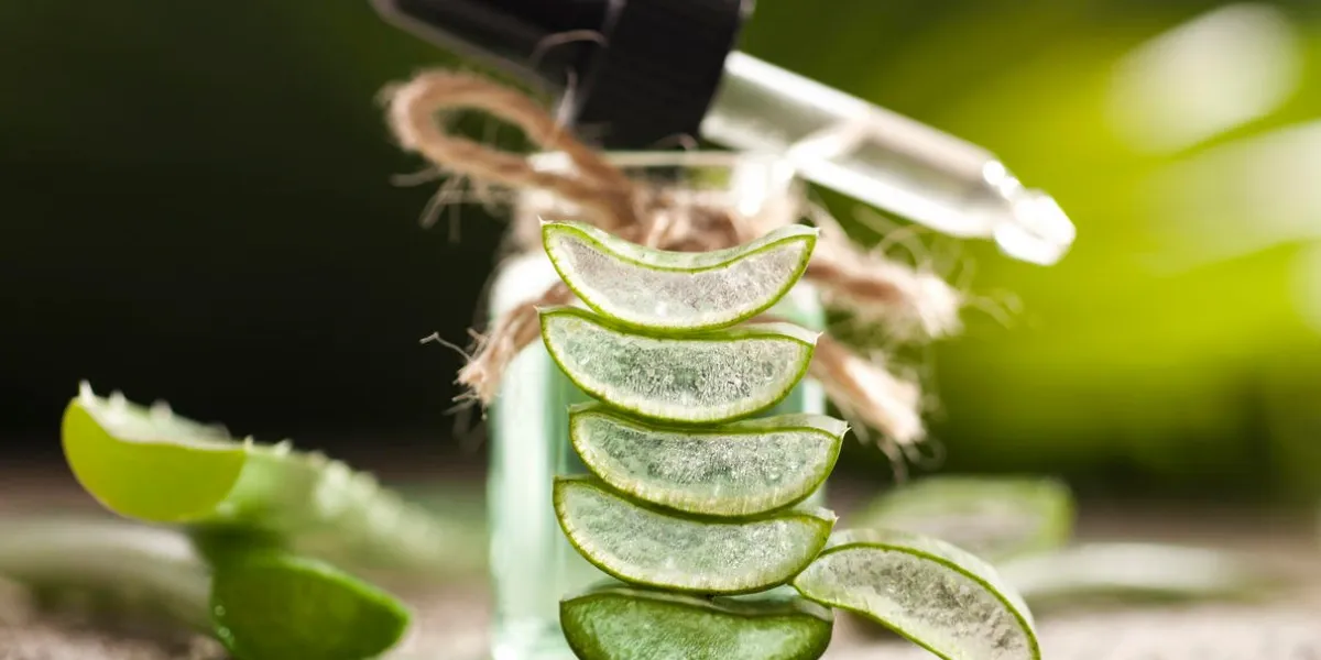 huile essentielle d'aloe vera sur fond de feuilles tropicales