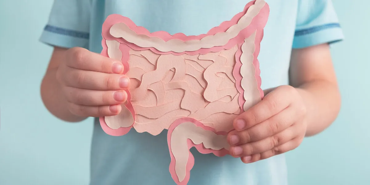 child holding decorative model intestine healthy digestion chil