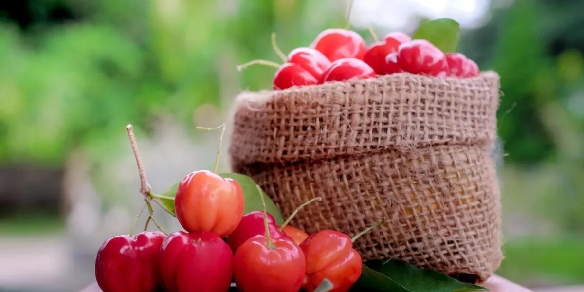 acerola fruit close up on background