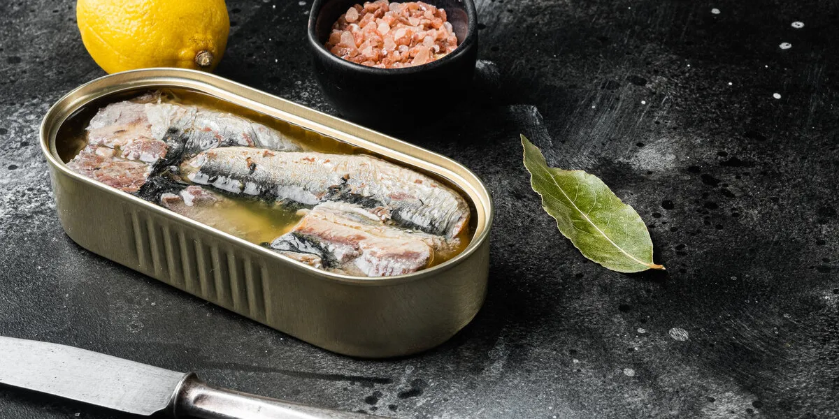 sardines can preserve set, on black dark stone table background, with copy space for text