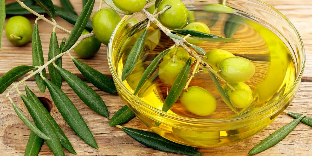 branche d'olivier trempée dans un bol d'huile d'olive