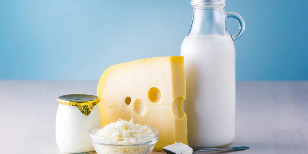 dairy products such as milk, cheese, egg, yogurt and butter