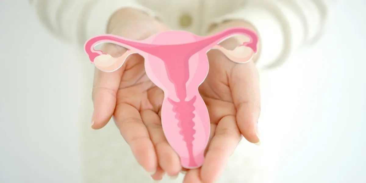 woman hands holding uterus, female reproductive system , woman health, pcos, gynecologic and cervix cancer concept
