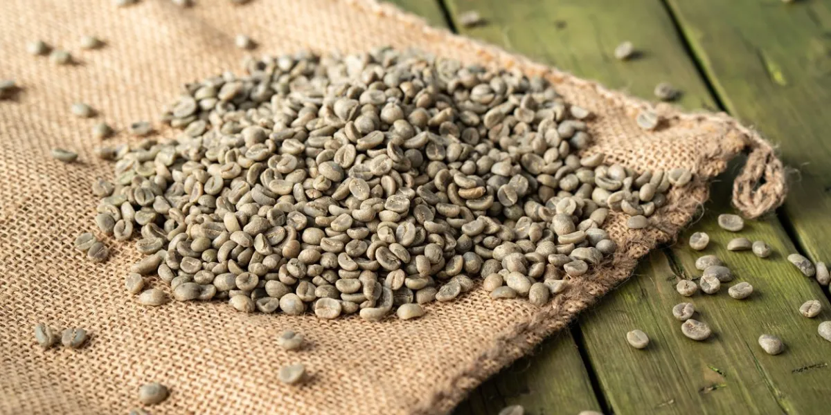 unroasted green coffee on wooden table