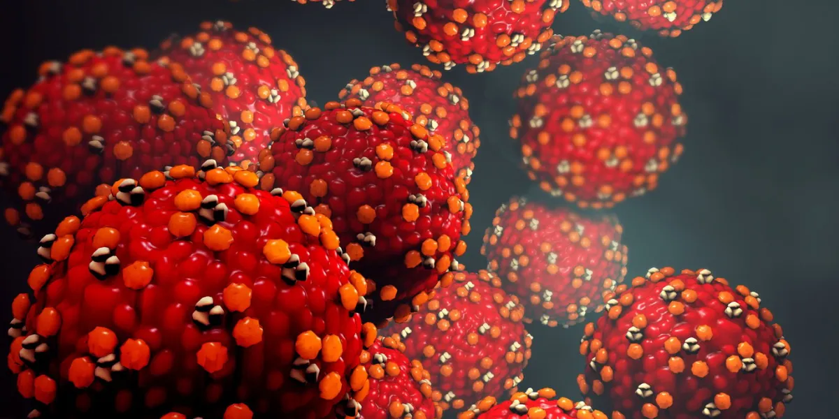 3d illustration measles virus or virus