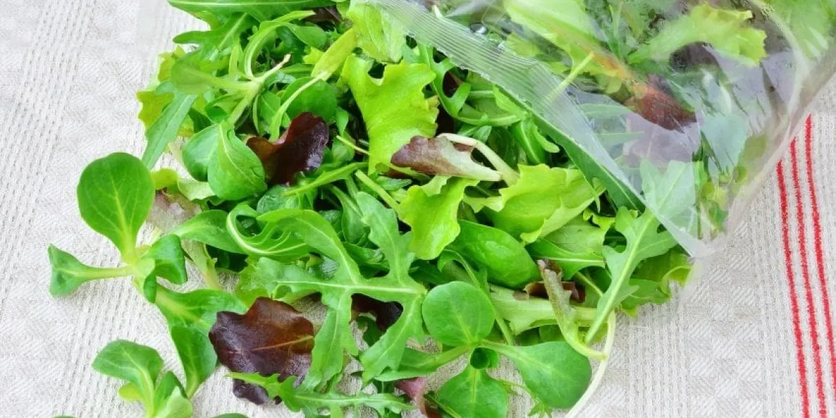 fresh mixed greens leaf vegetables of arugula, mesclun, mache in open plastic bag