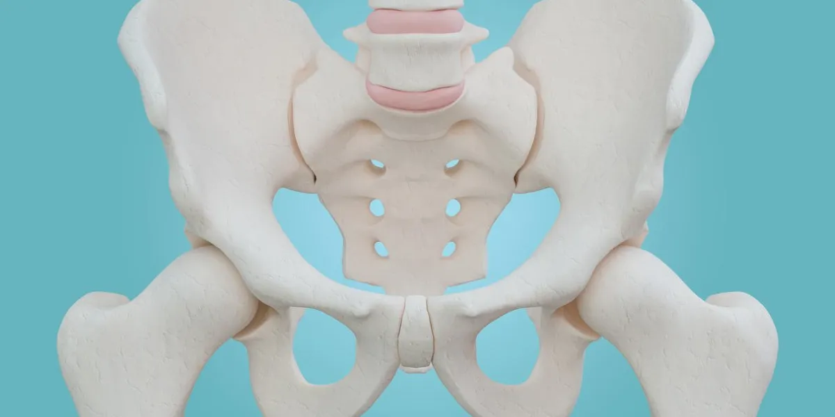 squelette de la hanche sur fond bleu avec un tracé de détourage