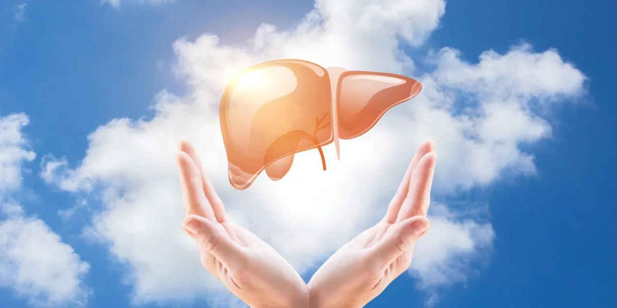 soutenir un foie en bonne santé