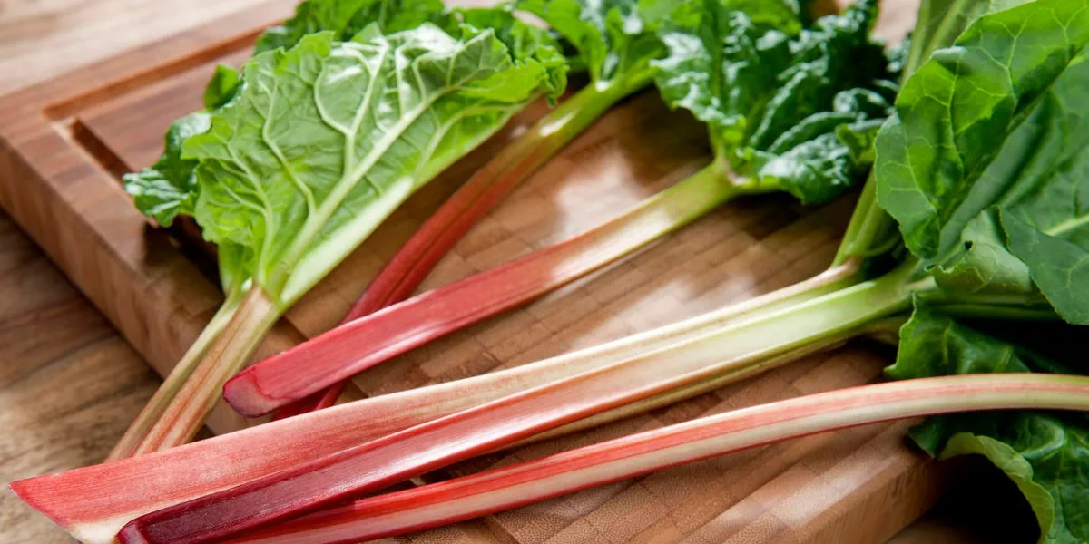 nourriture nourriture légume légumes rhubarbe légume rhubarbe serviette nature morte table table feuille feuilles feuilles planche - rhubarbe sur une planche à découper