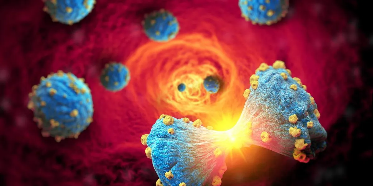 cancer cell in the moment that divides