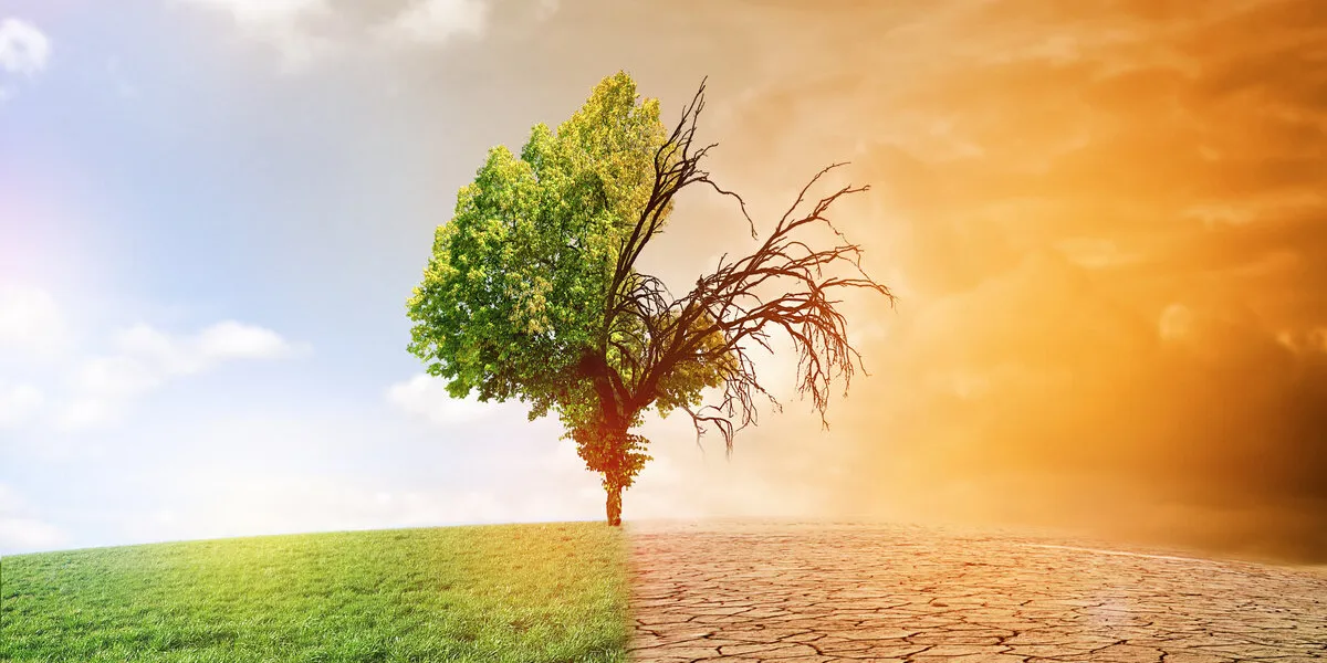 die zukunft liegt in unseren händen