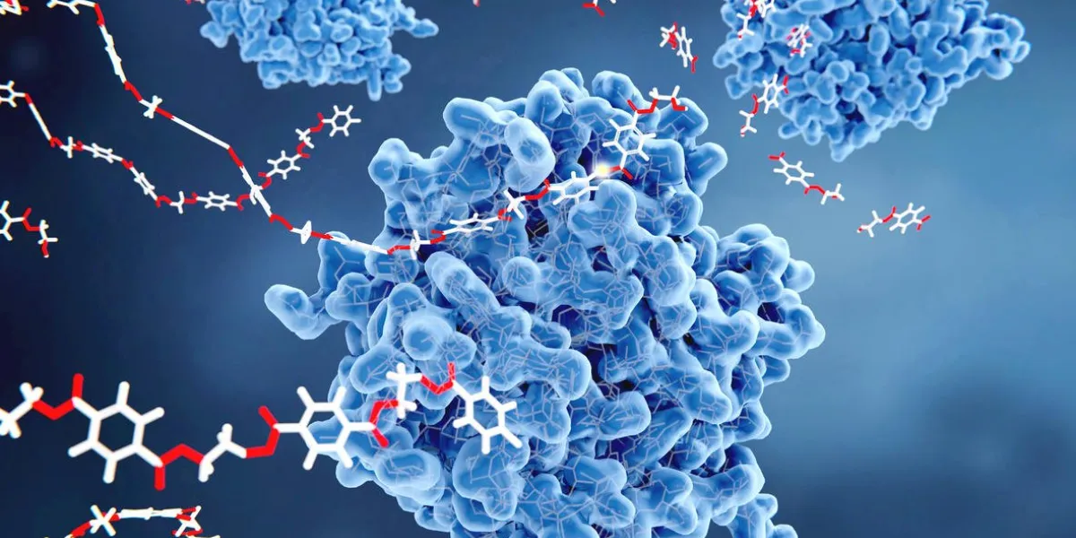 petase is a bacterial enzyme that breaks down pet-plastic to monomeric molecules the whole bacterial degradation process yields terephtalic acid and ethylene glycol, which are environmentally harmless