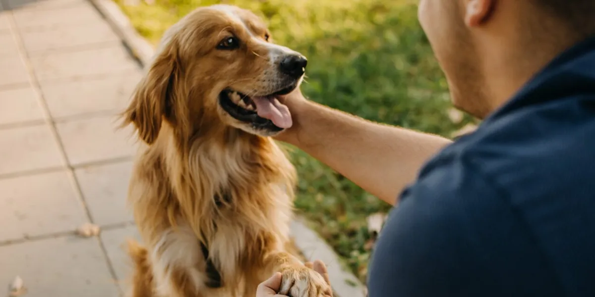 man and his best friend,walk and playing