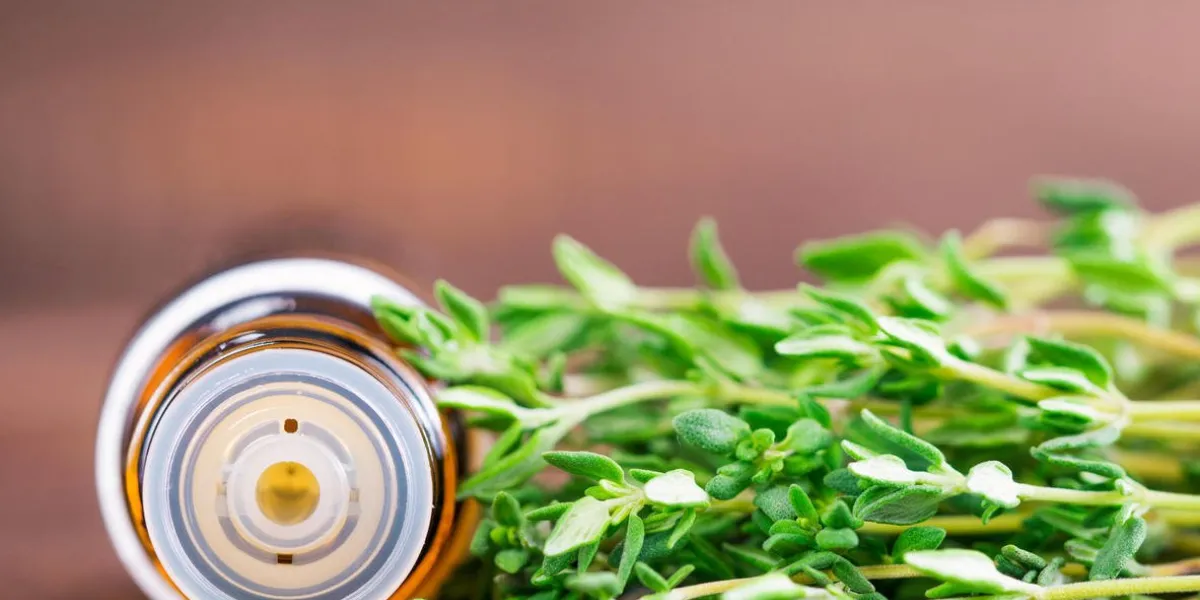 huile essentielle de thym et bouteille en verre foncé avec pipette et thym frais sur fond en bois marron foncé avec espace copie