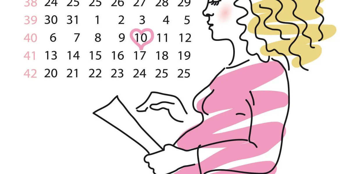 photo de la femme enceinte sur un fond un calendrier avec la date de naissance obvedenoy