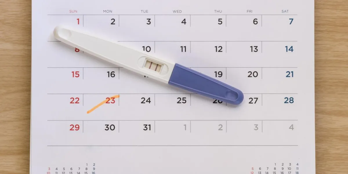 pregnancy test on calendar background pregnancy care concept