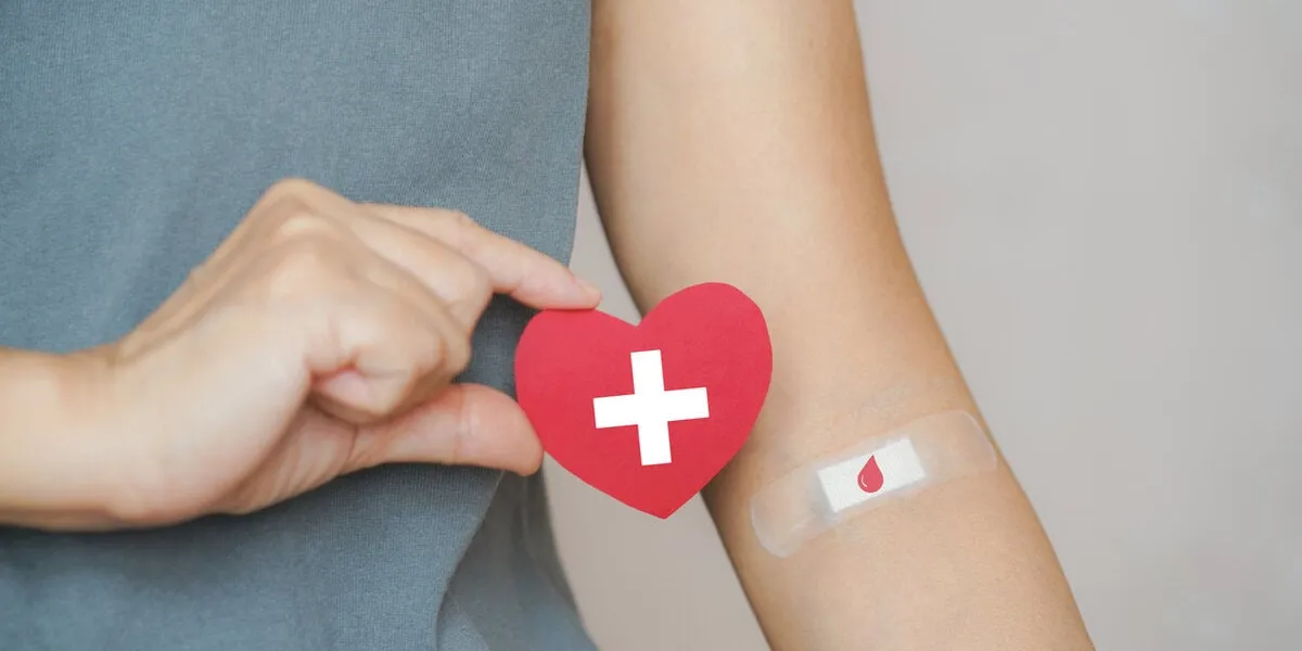 senior human hand holding red paper heart shape and red blood drop symbol on bandage for world blood donation and donor day and save life concept