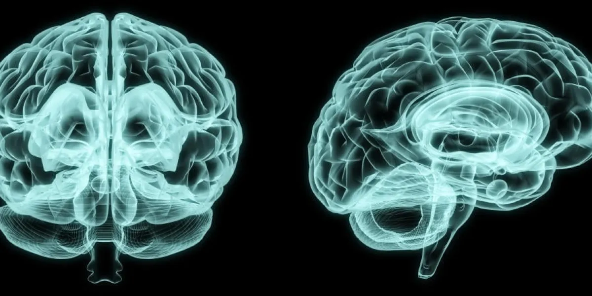 cerveau avant et latéral aux rayons x dans la luminosité bleu sur fond noir