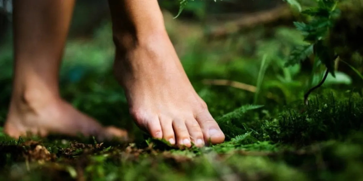 bare feet of woman standing barefoot outdoors in nature, grounding and forest bathing concept