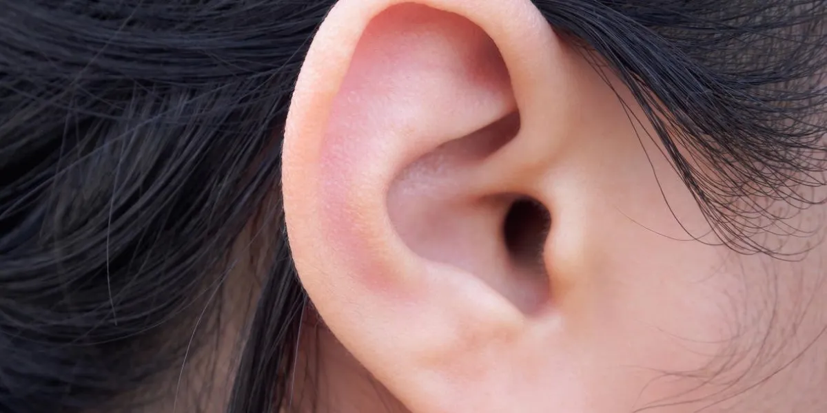 closeup oreille humaine