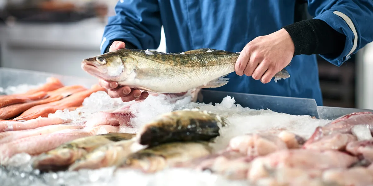 fresh fish in a fishshop