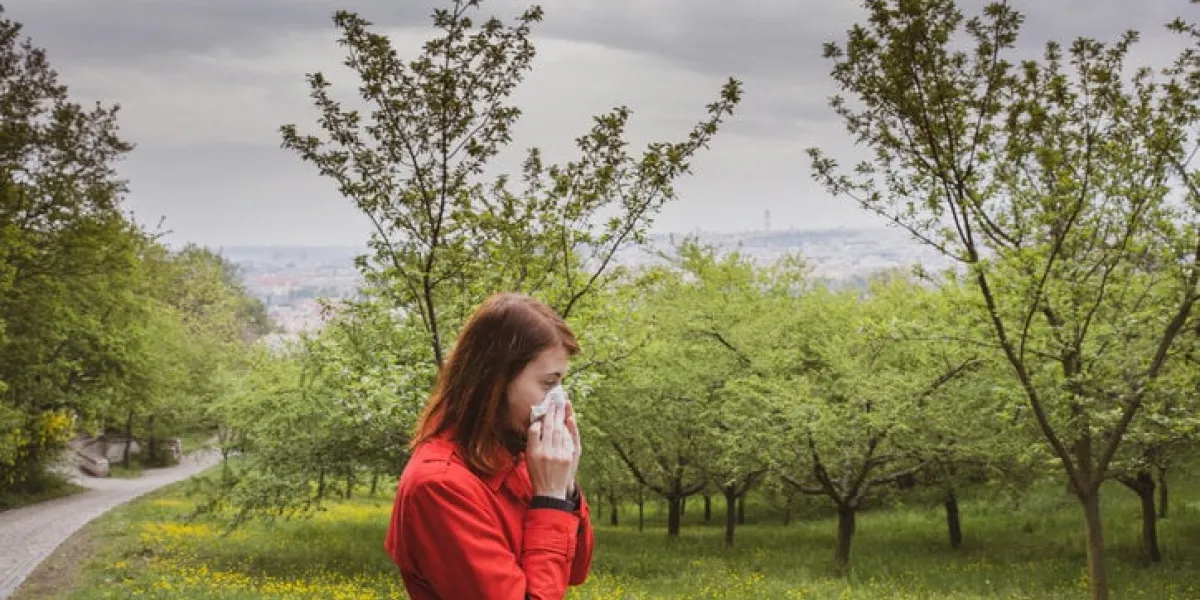 blowing nose due to pollen allergy outdoor