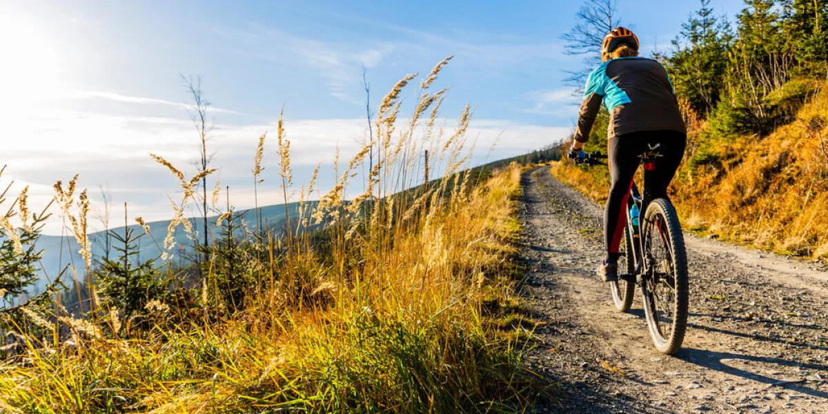 mountain biking woman riding on bike in autumn mountains forest landscape woman cycling mtb flow trail track outdoor sport activity