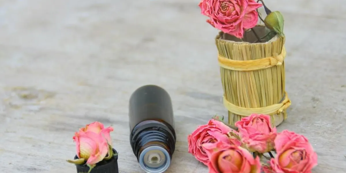 huiles essentielles de roses sches,vertu hydratante et rafferm