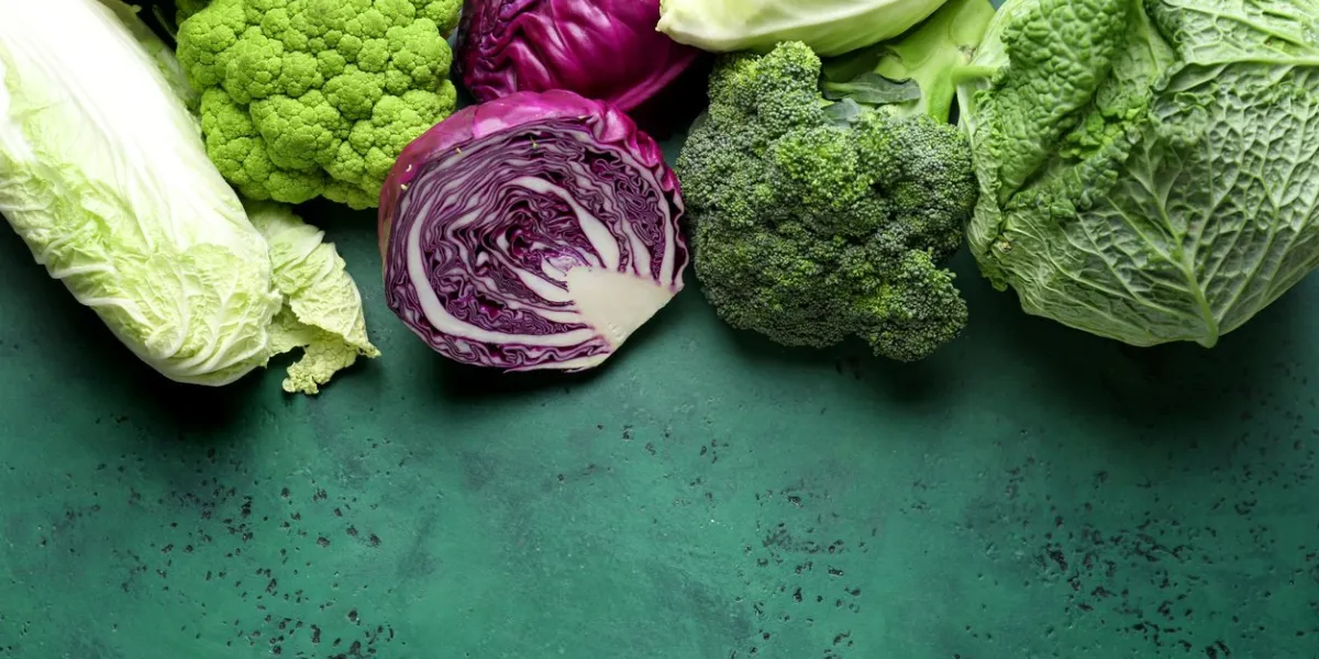 different kinds of cabbage on color background