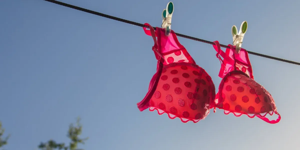 Ð¡lothesline with a pink bra on the blue sky background, horizontal