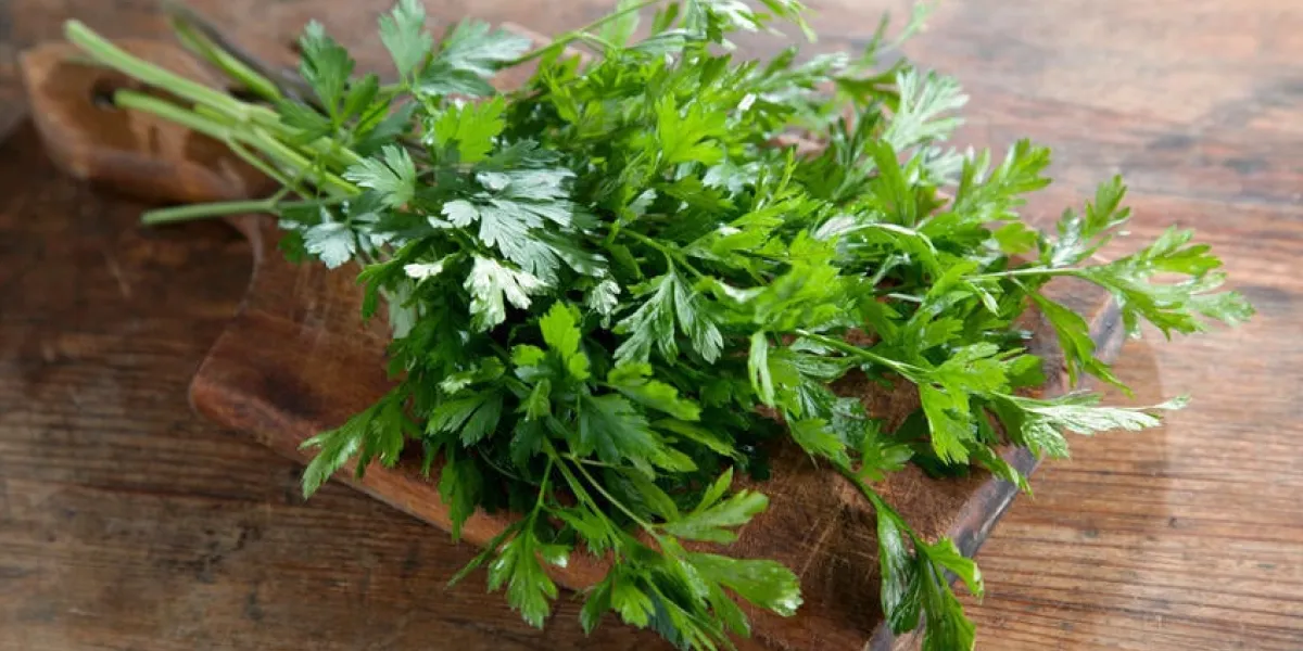 persil photographié sur une planche en bois