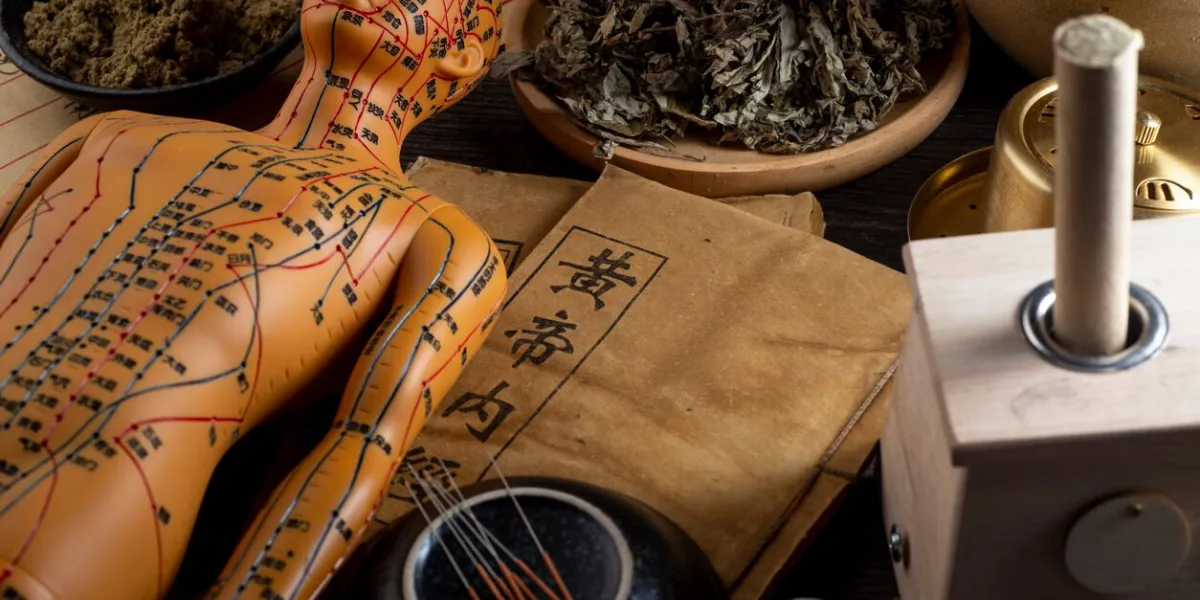 background of moxibustion and chinese herbal medicinechinese translation：emperor's internal classic