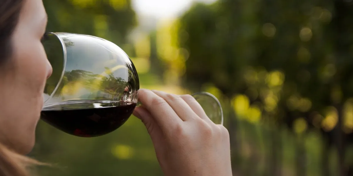close up of a young woman drinking red wine from a glass in a vineyard