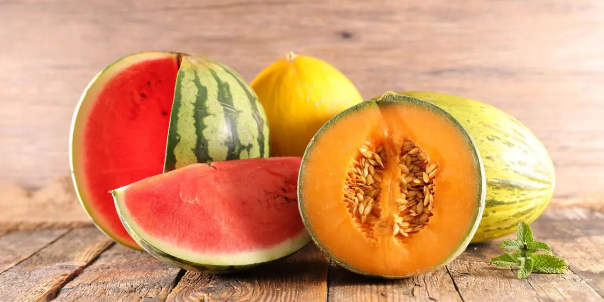 assorted of melon and watermelon