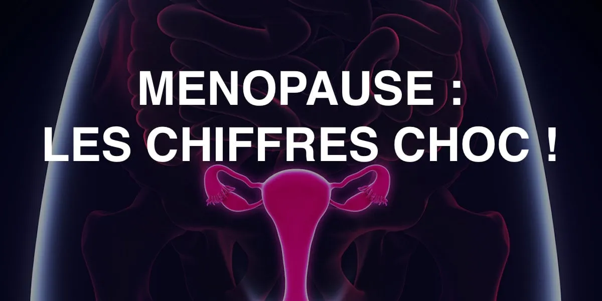 female reproductive system illustration 3d render