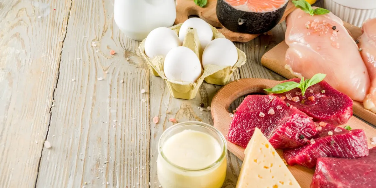 animal protein sources - raw beef meat steak, chicken breast fillet, salmon fish, eggs, dairy milk, shrimps, cheese, copy space